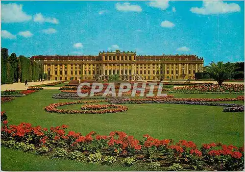 Cartes postales moderne Vienne Schonbrunn La Chateau et le Parterre de fleurs