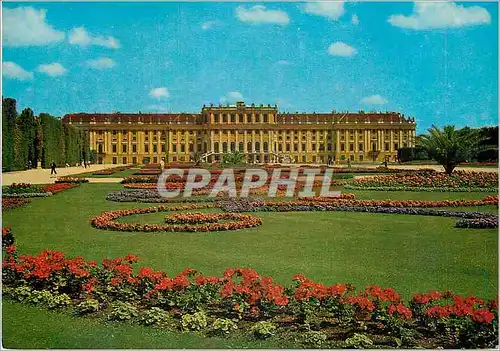 Moderne Karte Vienne Schonbrunn La Chateau et le Parterre de fleurs