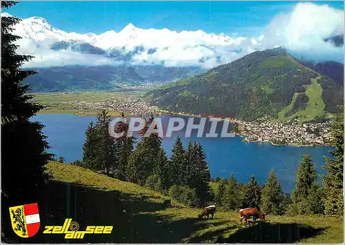 Cartes postales moderne Zell am See mit Schuttdorf und kitzsteinhorn