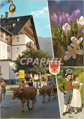 Cartes postales moderne Viehtrieb in Tirol