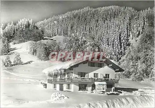 Cartes postales moderne Haus Alpenfrieden ADAC Hotel garni Cafe Tiefenbach B Oberstdorf und Obermaiselstein