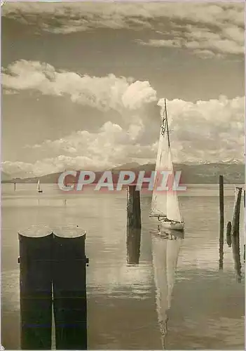 Cartes postales moderne Sommertag am Bodensee Bateau