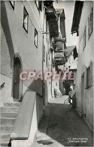 Cartes postales moderne St Wolfgang Stelniger Weg