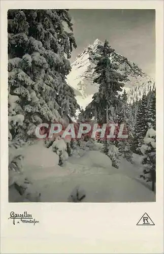 Cartes postales moderne Gargellen Montafon