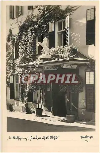 Cartes postales moderne St Wolfgang am Wolfgangsee (Salzkammergut)