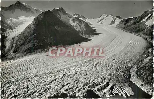 Cartes postales moderne Eggishorn Gr Aletschgletcher Marjelensee Aletschhorn Mittel Aletschgletcher Dreleckhorn Jungfrau