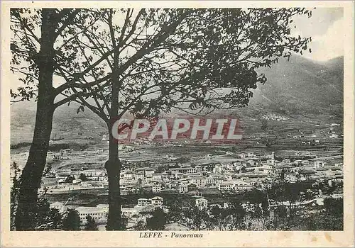 Cartes postales moderne Leffe Panorama