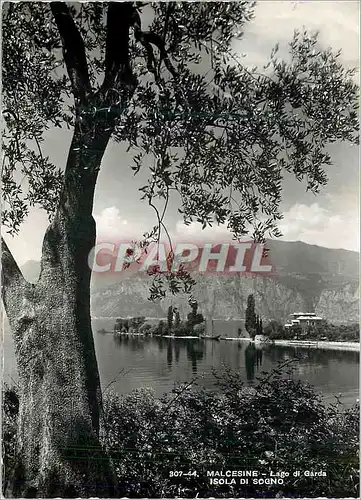 Cartes postales moderne Malcesine Logo di Garda Isola di Sogno