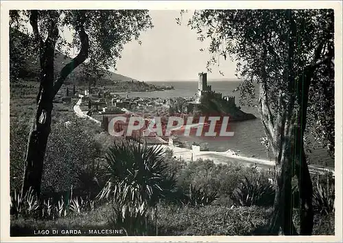 Cartes postales moderne Malcesine Logo di Garda