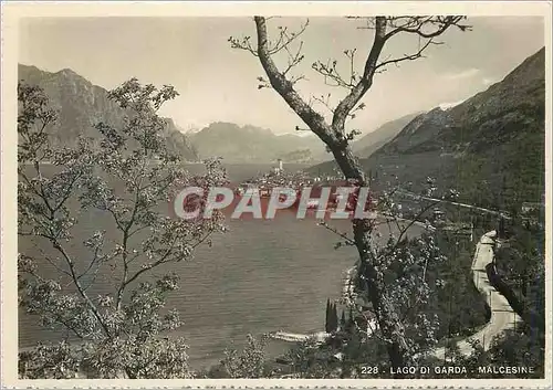 Cartes postales moderne Malcesine Logo di Garda