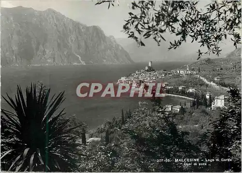 Cartes postales moderne Malcesine Logo di Garda Oasi di Pace