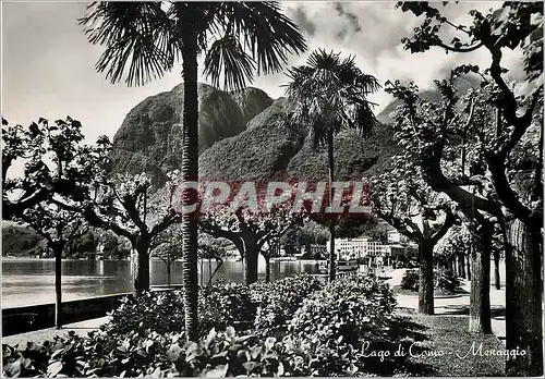 Cartes postales moderne Menaggio Lago di Como