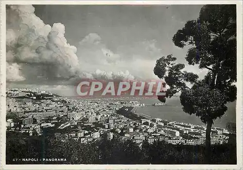 Cartes postales moderne Napoli Panorama Volcan
