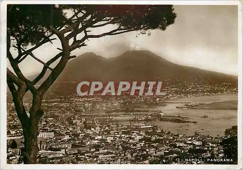 Cartes postales moderne Napoli Panorama