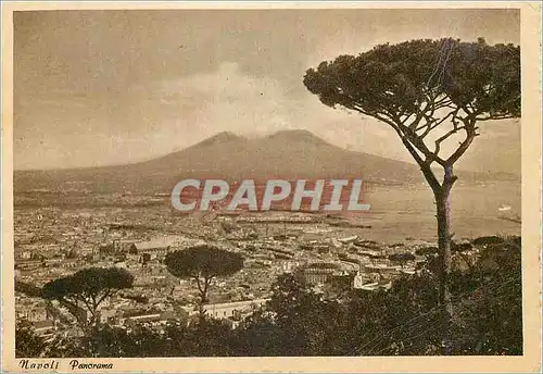 Cartes postales moderne Napoli Panorama