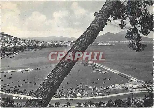Cartes postales moderne Napoli Panorama