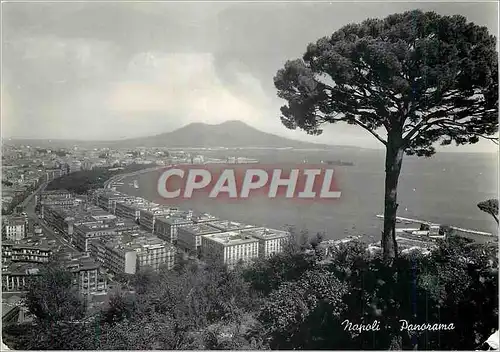 Cartes postales moderne Napoli Panorama