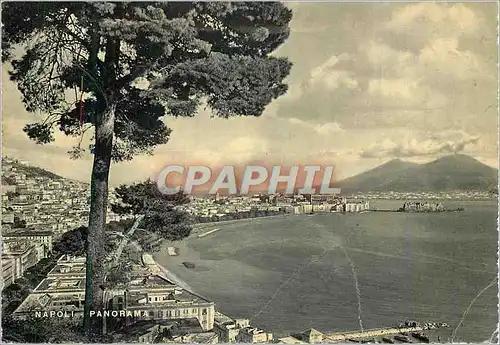 Cartes postales moderne Napoli Panorama
