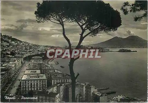 Cartes postales moderne Napoli Panorama