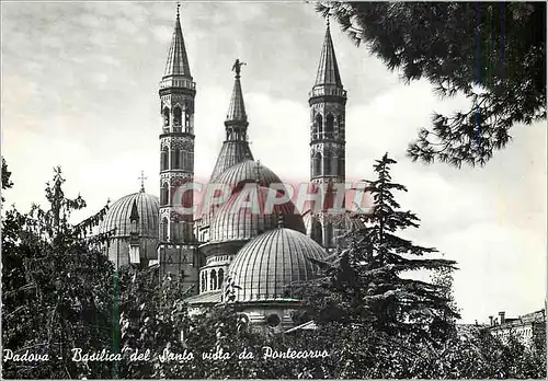 Cartes postales moderne Padova Basilique du Saint vue de Pontecorvo