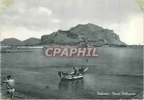 Cartes postales moderne Palermo Le Mont Peltiggino
