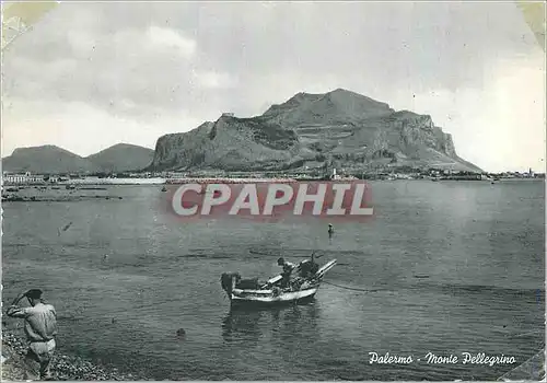 Moderne Karte Palermo Le Mont Peltiggino