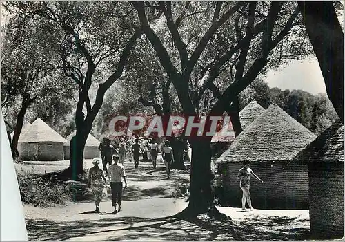 Moderne Karte Palinuro Dans le Village