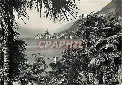 Cartes postales moderne Malcesine Lagoi di Garda