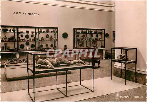 Cartes postales moderne Pompei Le Museum