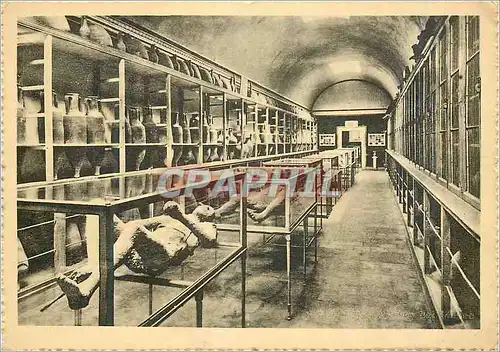 Cartes postales moderne Pompei Interieur du Musee