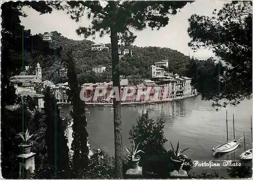 Cartes postales moderne Portofino Mare