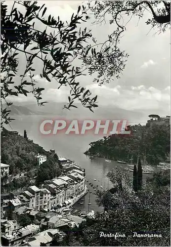 Cartes postales moderne Portofino Panorama