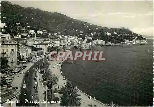 Cartes postales moderne Rapallo La Passeggiata a mare