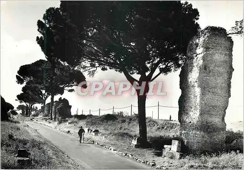 Cartes postales moderne Roma Rue Appia Antica