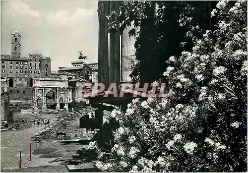 Cartes postales moderne Rome Le Forum Romain