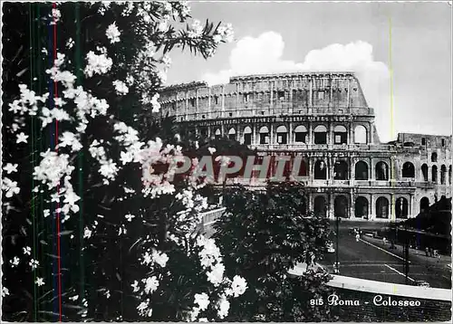 Moderne Karte Roma Colosseo