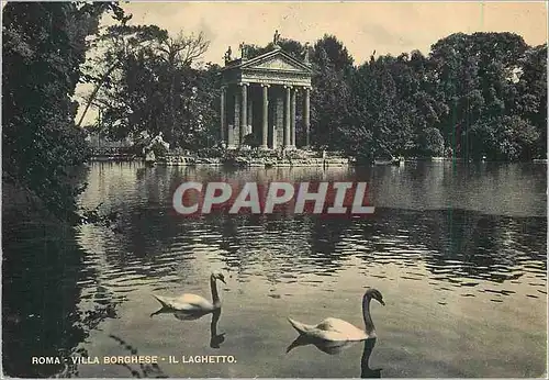 Moderne Karte Roma Borghese Le Petit Lac Cygnes