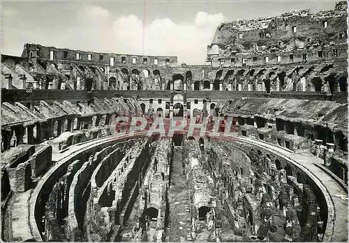 Cartes postales moderne Roma Le Colisee
