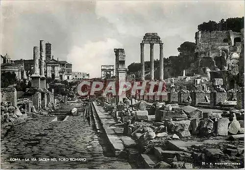Cartes postales moderne Roma la Via Sacra Nel Foro Romano