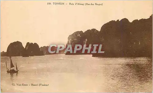Cartes postales Tonkin Baie d'Along (Iles des Singes)