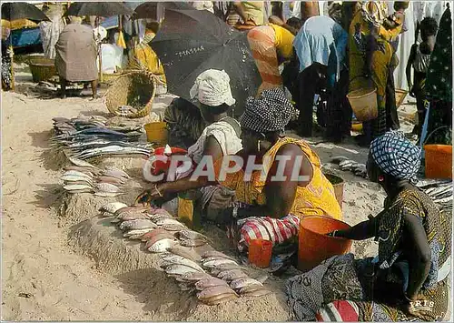 Moderne Karte Afrique en Couleurs Marchandes de poissons