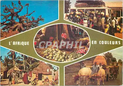 Cartes postales moderne Afrique en Couleurs
