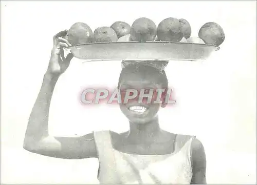 Cartes postales moderne Palime (Rep Togolaise) Jeune Vendeuse d'Oranges