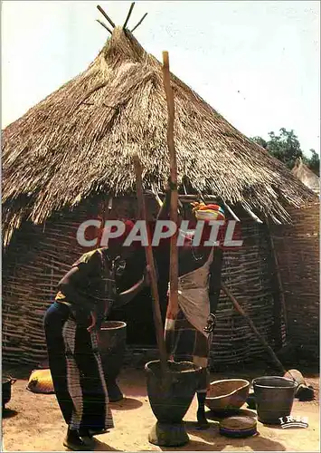 Moderne Karte Afrique Pileuse de Mil