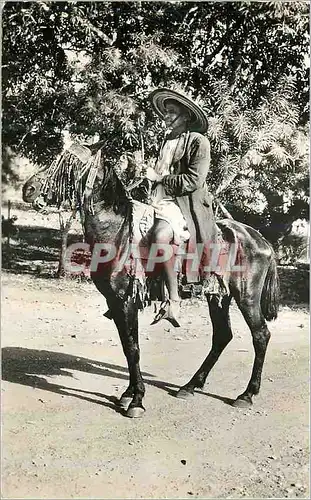 Moderne Karte Tchamba (Sokode) Cavalier Cotokoli Cheval