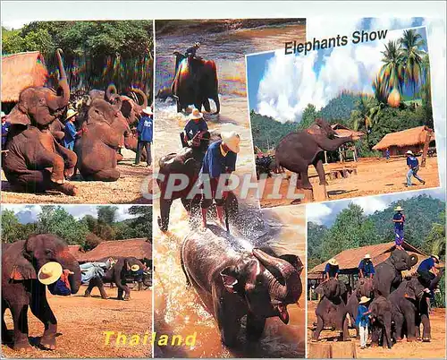 Cartes postales moderne Elephants Show North Thailand