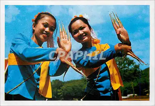 Cartes postales moderne The Most Beautiful Thai Young Girls of Chiengmai North of Thailand