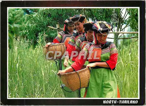 Moderne Karte North Thailand the Mountain Folk Lisaw Women are Carrying their Offerings to the Market Northern