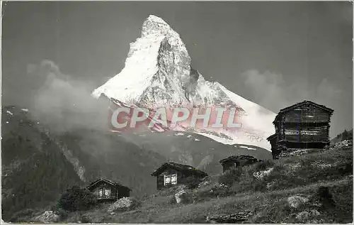 Cartes postales moderne Zermatt Winkelmatten mit Matterhorn
