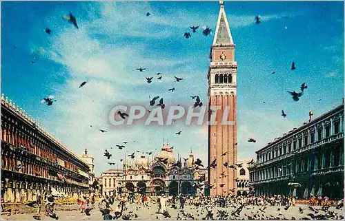 Moderne Karte Venezia (Venise) Place St Marc Pigeons